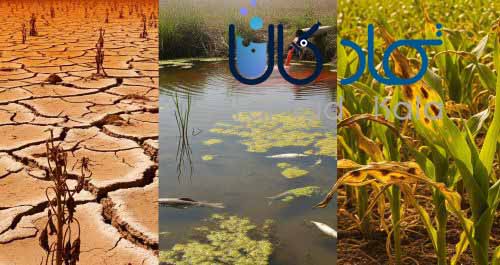 معایب استفاده از نیتریک اسید در کشاورزی