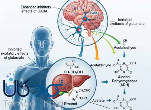 روش&zwnj;های درمانی پس از مصرف اتانول