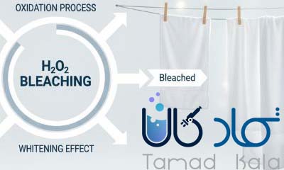 The role of hydrogen peroxide in bleaching.jpg