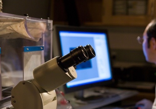 نانوسیم‌های هوشمند (خبر)