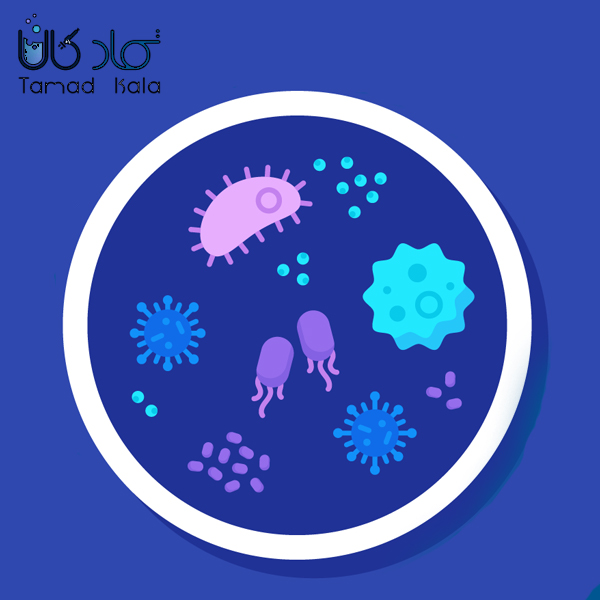 انواع محیط های کشت پرکاربرد