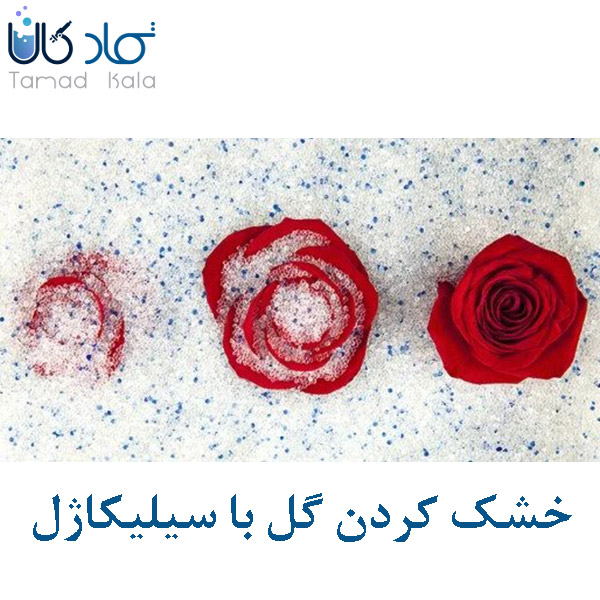 نحوه خشک کردن گل با سیلیکاژل