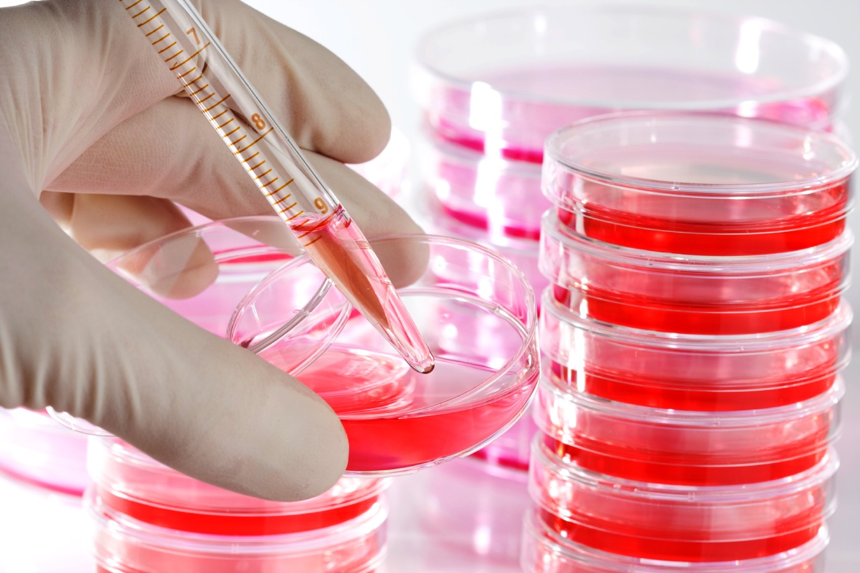 وسایل مورد استفاده برای کشت با...