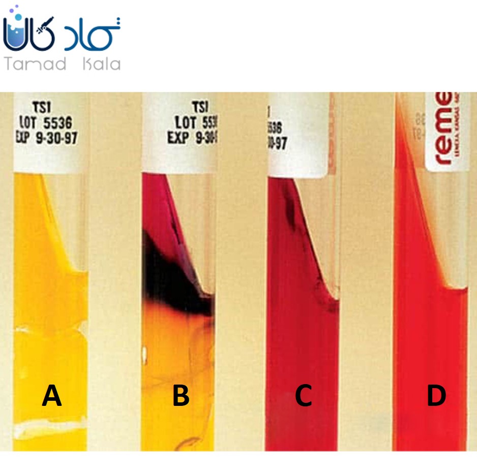 همه چیز درباره محیط کشت TSI