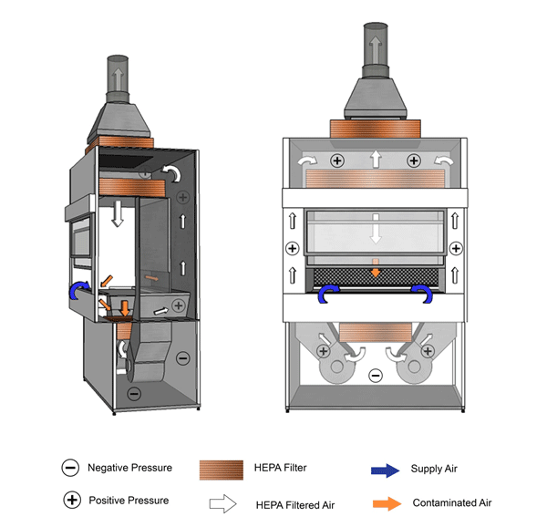 هود بیولوژیکی و کاربرد های آن