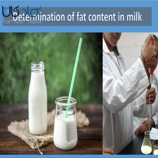 کاربردهای اسید سولفوریک در صنایع لبنی و تست ژربر