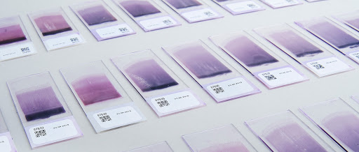 رنگ آمیزی گیمسا و کاربرد های آ...