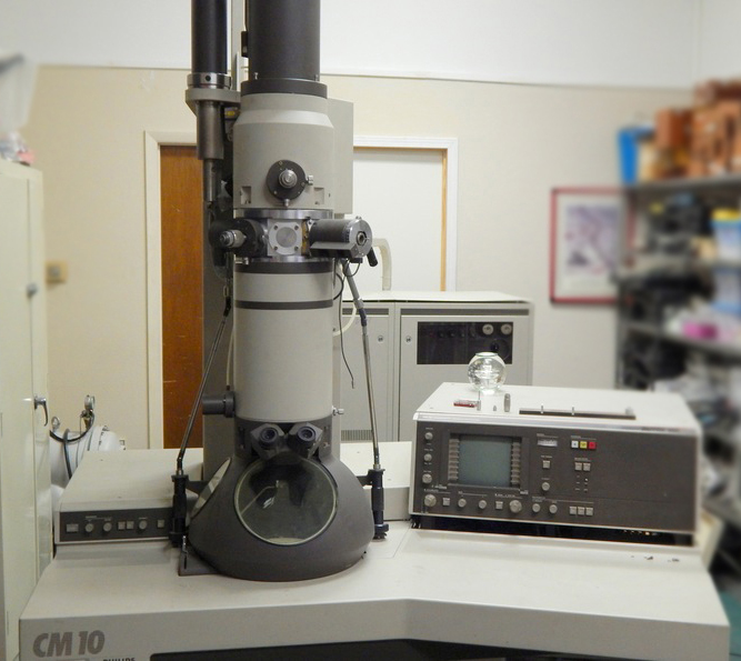 آشنایی با میکروسکوپ الکترونی ع...