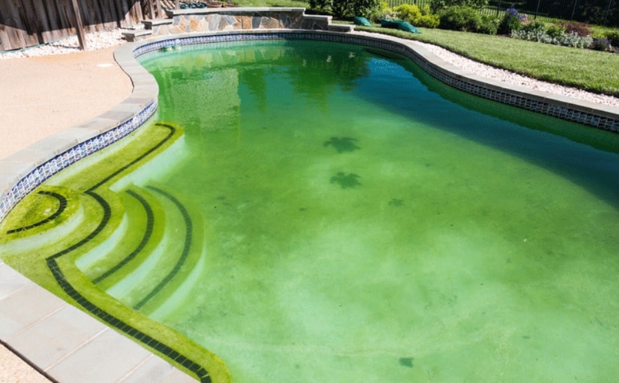 مواد شیمیایی ضد جلبک استخر
