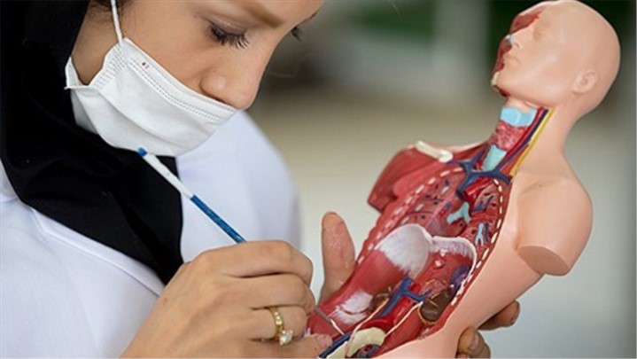 مولاژ کامل بدن انسان