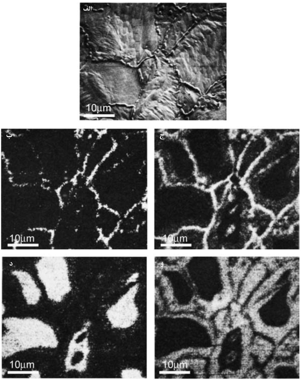 تصویربرداری XPS از ترکیب ­ها (روش و کاربرد)