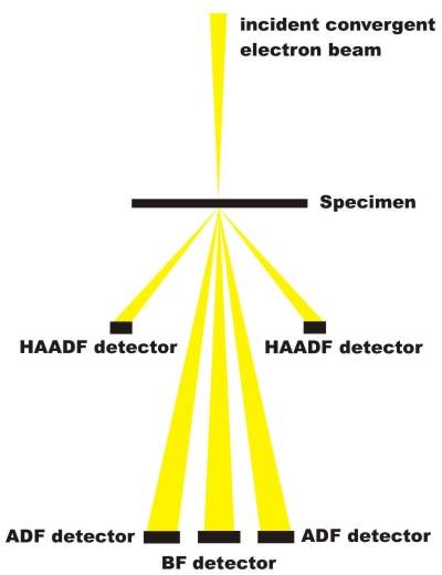 آشکارساز STEM در میکروسکوپ SEM (مقاله توضیحی)