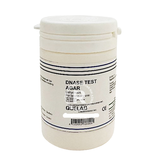 محیط کشت DNASE کیولب