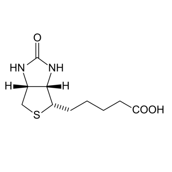 دی بیوتین برند لوباکمی هند