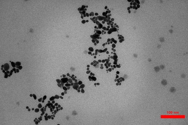 نانو کلوئید نقره صنعتی 4000 ppm
