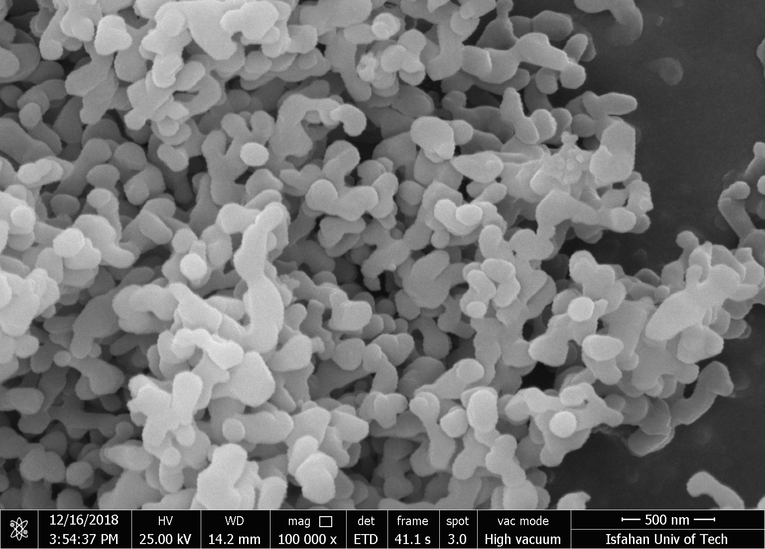 تصویر آنالیز SEM نانوپودر اکسید آلومینیوم (آلومینا) آلفا برند RASA