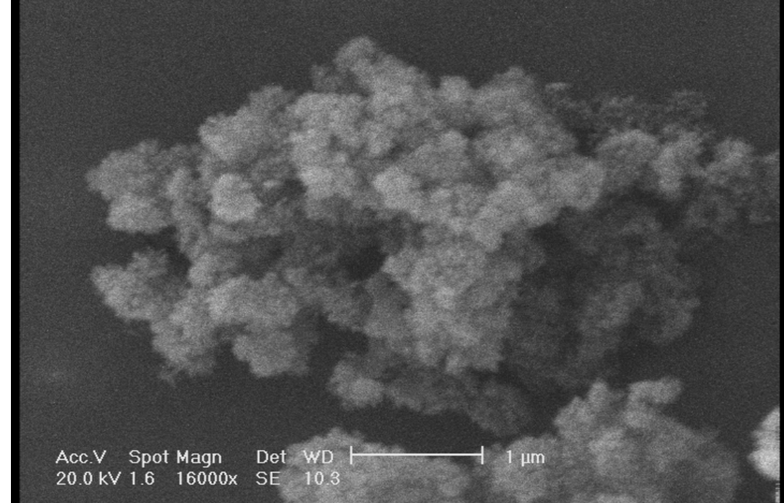 نانوپودر اکسید آلومینیوم (آلومینا) گاما برند RASA