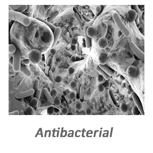 نانو مواد آنتی باکتریال