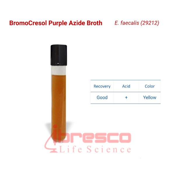 محیط کشت بروموکروسل پرپل آزاید براث ایبرسکو