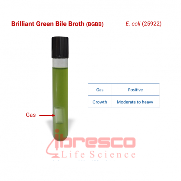 محیط کشت برلیانت گرین بایل (لاکتوز) براث ۲٪ ایبرسکو