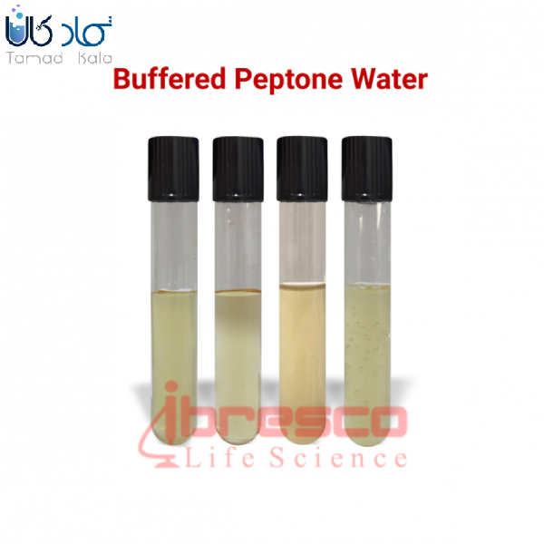 محیط کشت آب پپتون بافری ایبرسکو