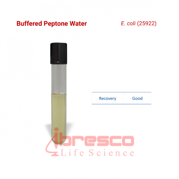 محیط کشت آب پپتون بافری ایبرسکو