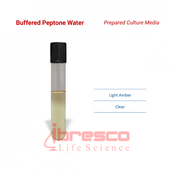 محیط کشت آب پپتون بافری ایبرسکو