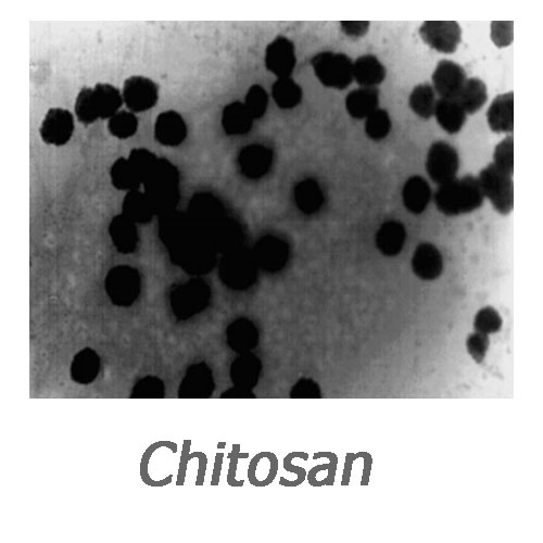 نانو ذرات کیتوسان