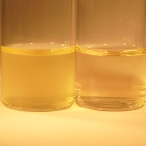 محیط کشت آلکالین سالین پپتون واتر