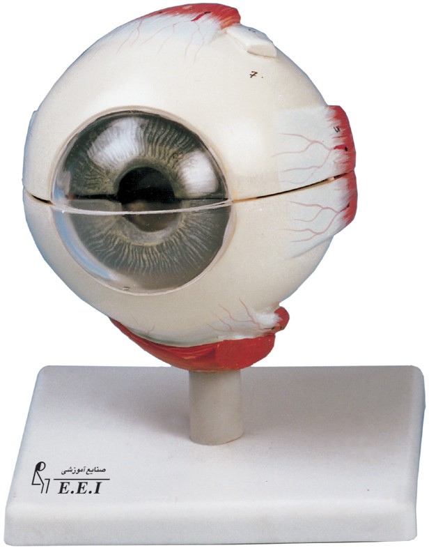 مولاژ کزه چشم