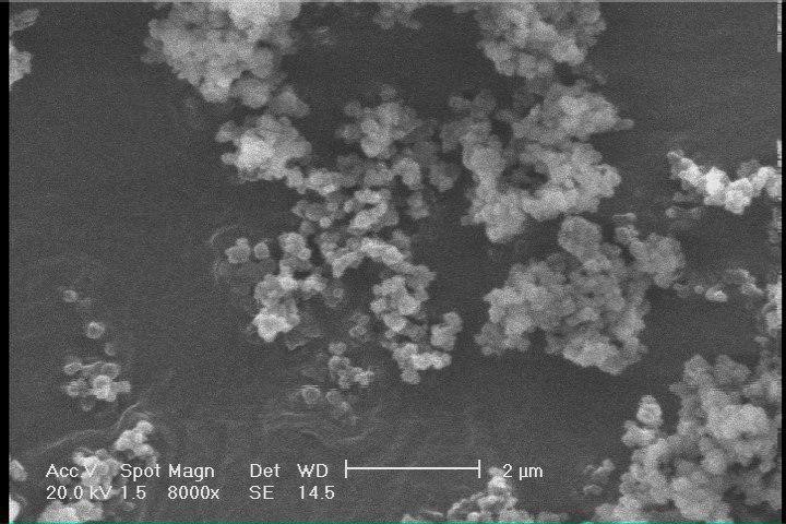 نانوذرات اکسید منیزیم برند RASA