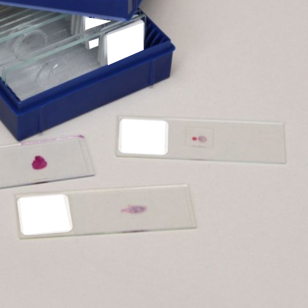 لام میکروسکوپی چربی قهوه ای (آ) (آموزشی)