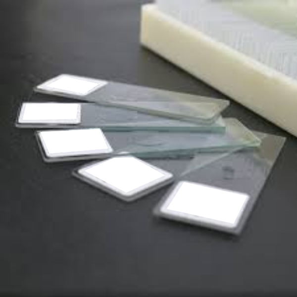 لام میکروسکوپی عضله قلبی (آموزشی)