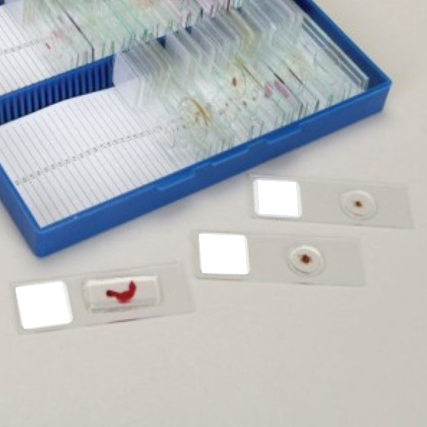 لام بافت پوششی کیسه صفرا