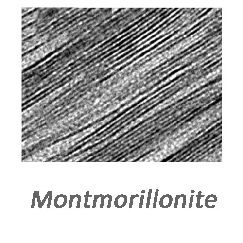 مونت موریلونیت