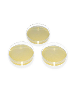 خرید محیط کشت گلوکز آگار