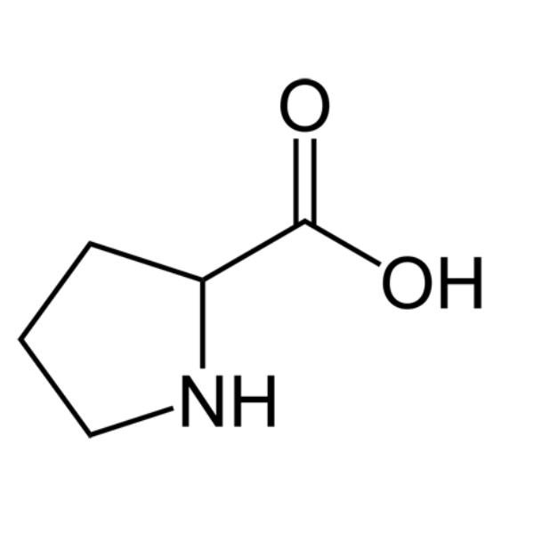 ال پرولین - برند DYC چین