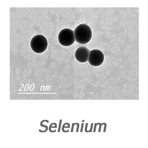 نانو ذرات سلنیوم