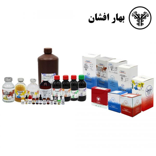 سوش باکتری استافیلوکوکوس اپیدرمیدیس (لیوفیلیزه)