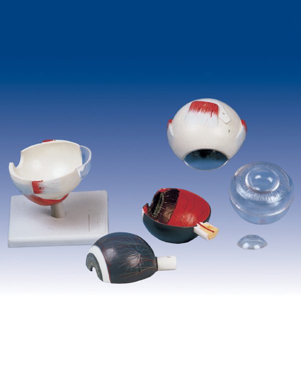 مولاژ کزه چشم