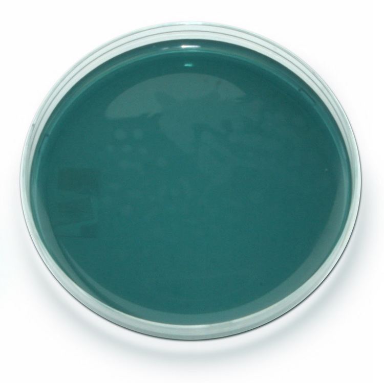 hecton entric agar
