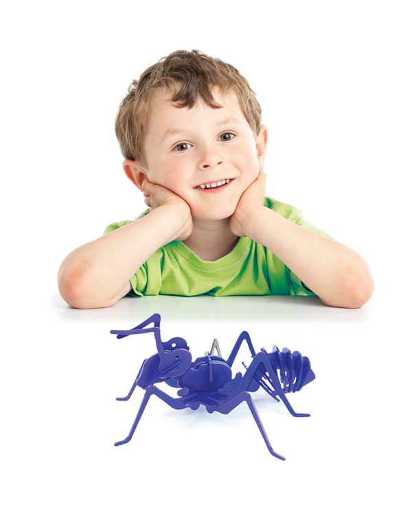 فروش جورچین سه بعدی مورچه