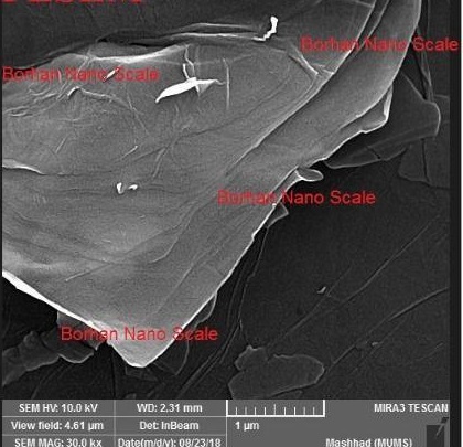 نانوکلوئید اکسید گرافن شرکت برهان