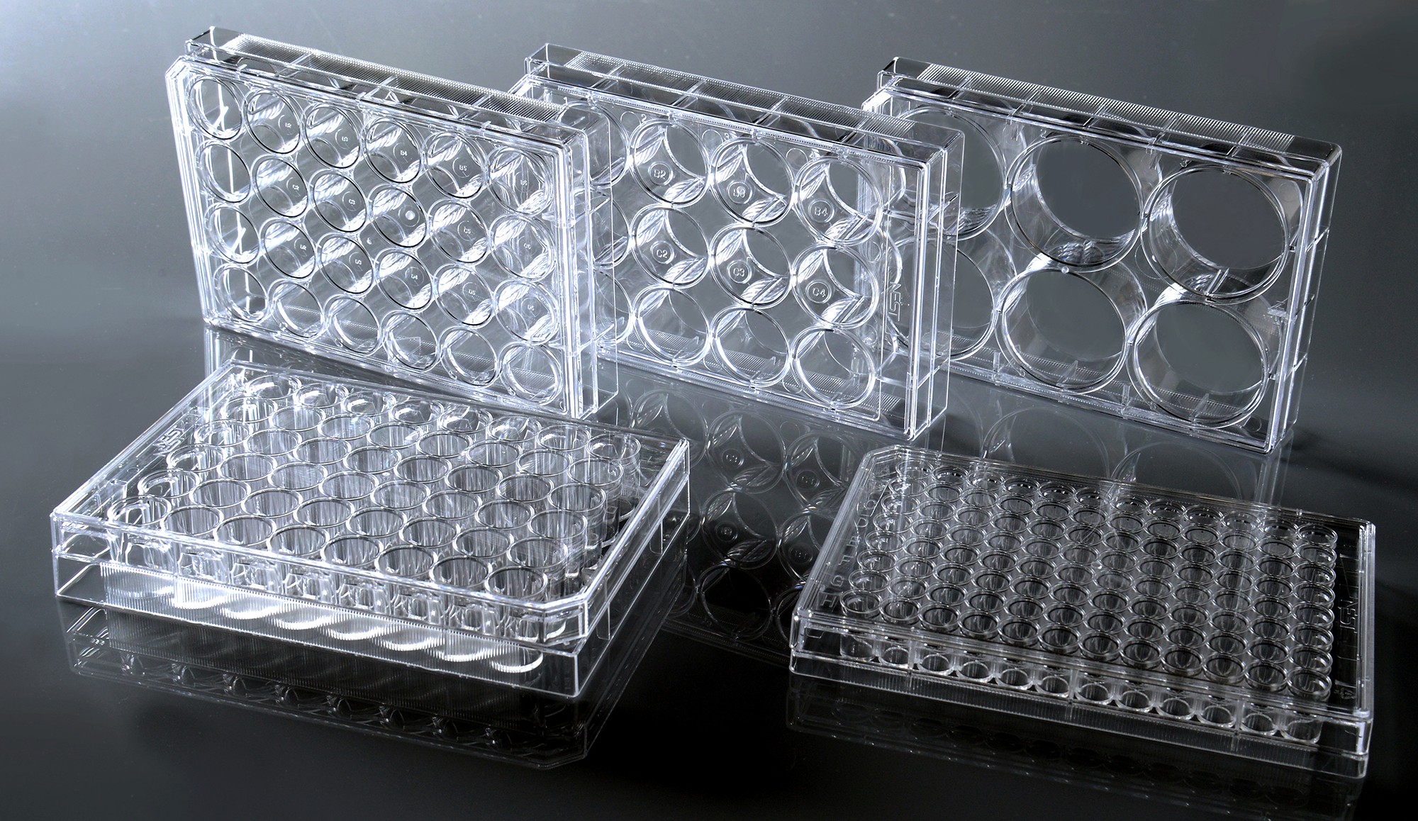 پلیت کشت سلول