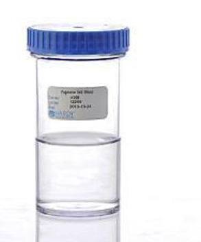 محیط کشت پپتون سالت