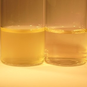 محیط کشت تریپتون واتر (tw)