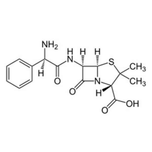 دیسک آنتی بیوتیک آمپی سیلین برند پادتن طب