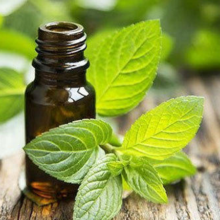 اسانس نعناع