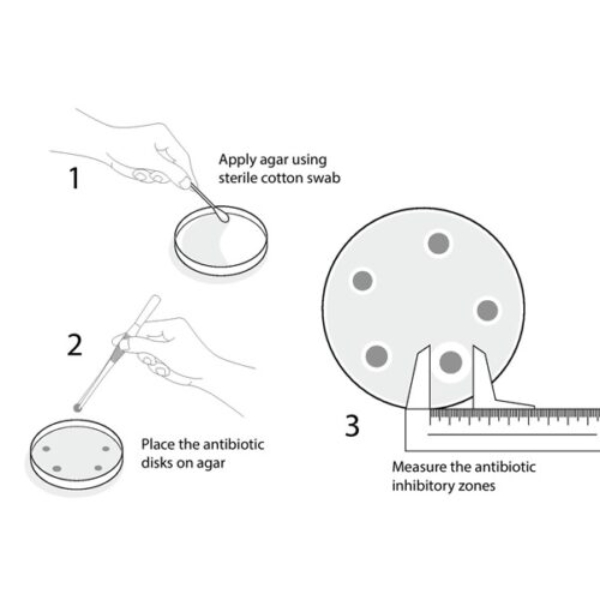 دیسک آنتی بیوتیک آمپی سیلین برند پادتن طب