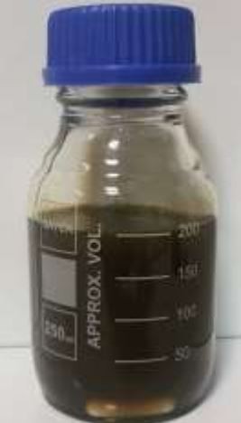 نانو کلوئید نقره 1000ppm، برند VistaExir